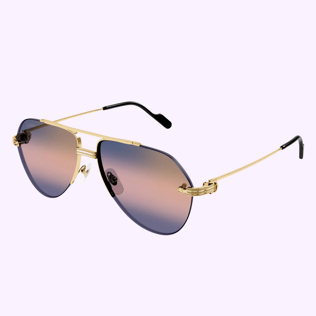 CartierSunglassesCT0427S-