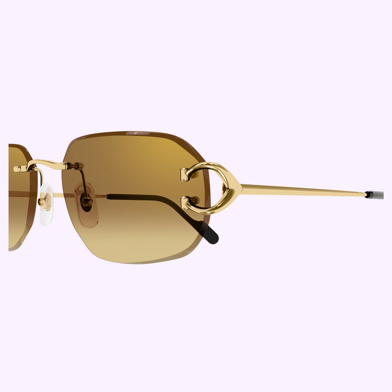 Cartier Sunglasses CT0468S-004 58 MEN upc 843023175856