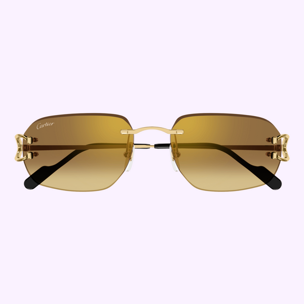 Cartier Sunglasses CT0468S-004 58 MEN upc 843023175856