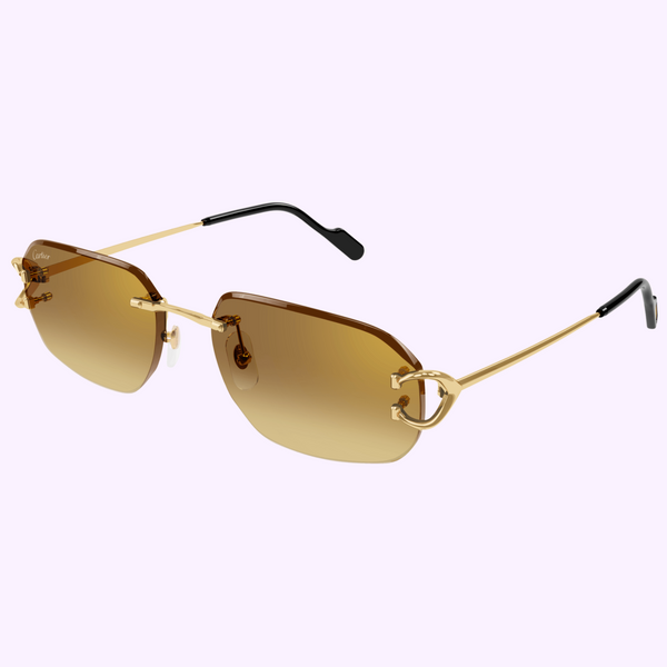 Cartier Sunglasses CT0468S-004 58 MEN upc 843023175856