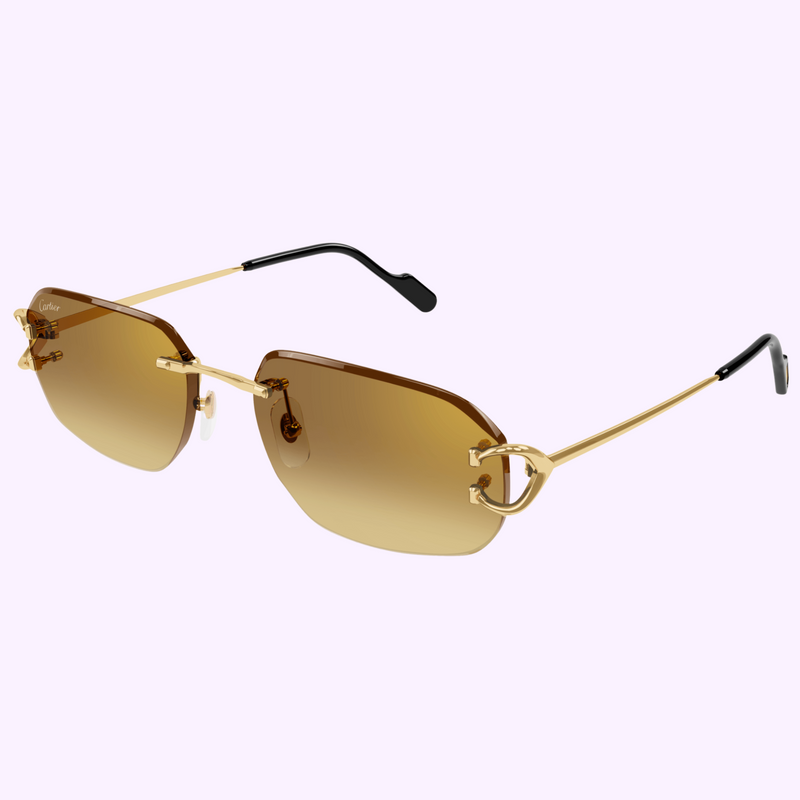 Cartier Sunglasses CT0468S-004 58 MEN upc 843023175856