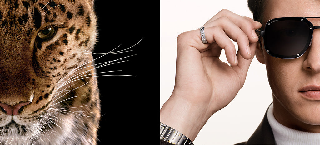 Cartier_Banner_3