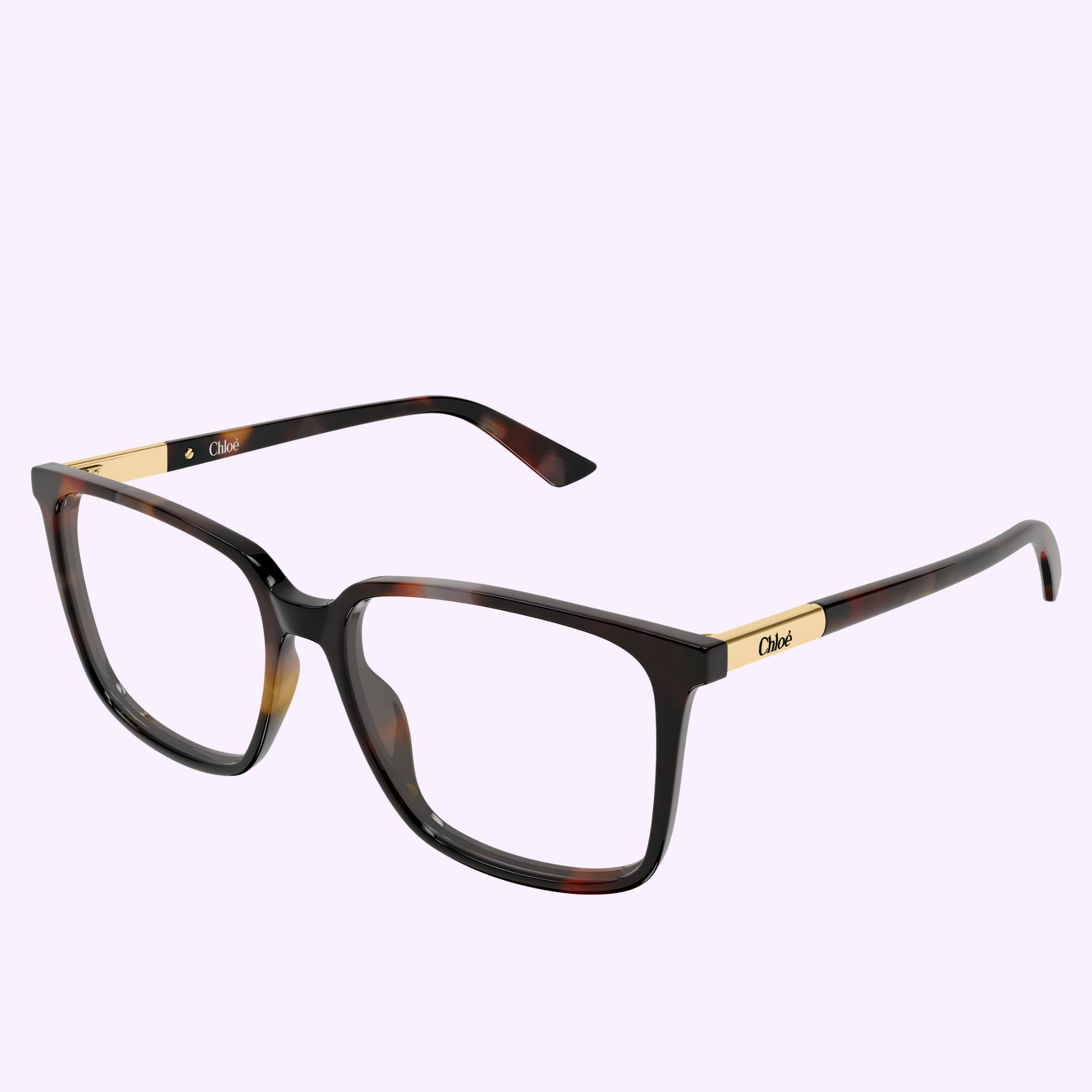 Chloe Optical Frames CH0369O-003 55 Women