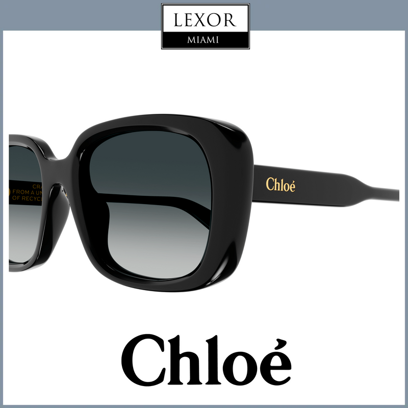 Chloe Sunglasses CH0225SK-001 55  WOMAN upc 889652481173