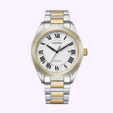 Citizen AW1694-50A Eco-Drive Silver Stainless Steel Strap Men Watches