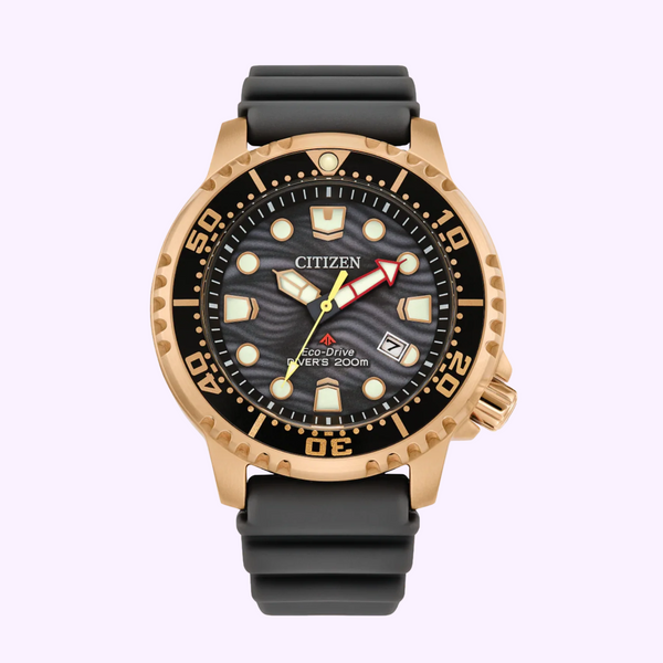 Citizen BN0163-00H MEN ECO WR200 SSRG STRA GRAY Men Watches