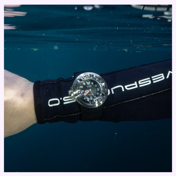 Citizen Watches BJ8050-08E Promaster Dive "Ecozilla" upc 013205067693