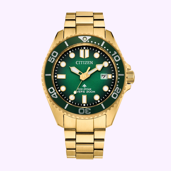 Citizen Watches Promaster Dive BN0262-59W