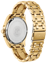 Citizen BM7103-51L Eco WR100 SSG Stainless Steel Men Watches