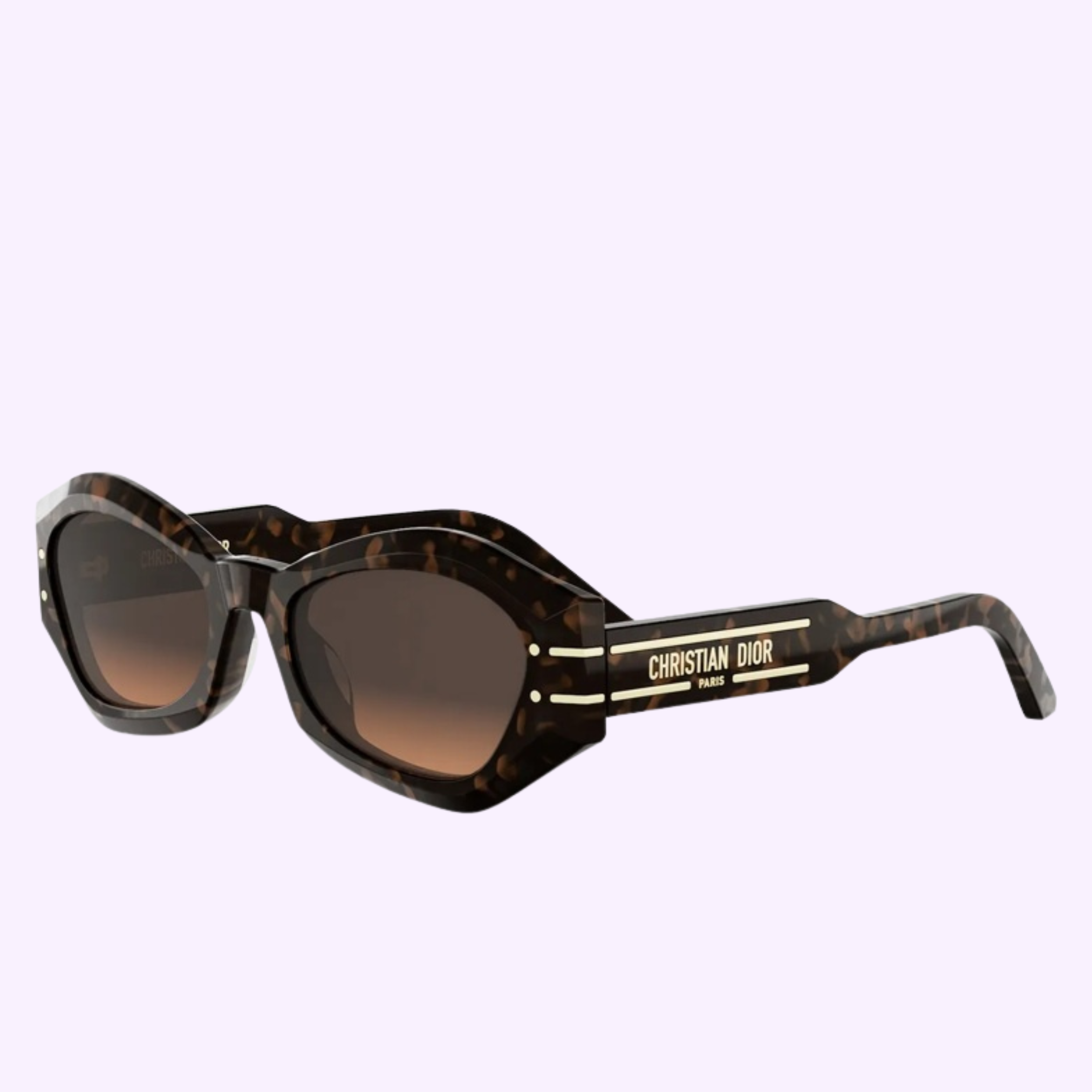 Angle View Dior Sunglasses DIORSIGNATURE B1U CD40139U 5555F