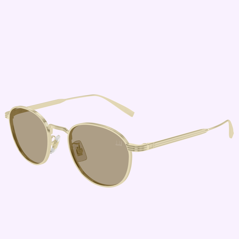 Dunhill Sunglasses DU0102S-003 49