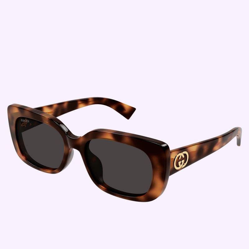 Gucci Sunglasses GG1979SK-002