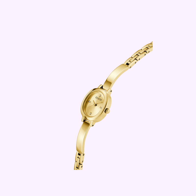 Guess Watches GW0924L2 upc:091661581229