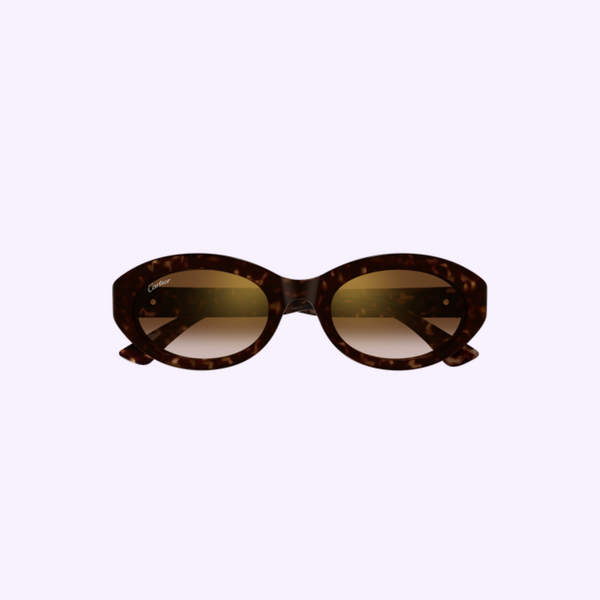 Cartier Sunglasses CT0588S-002 Havana Brown 53 Woman