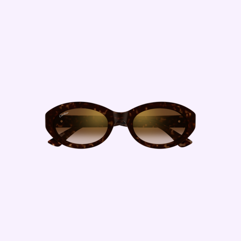 Cartier Sunglasses CT0588S-002 Havana Brown 53 Woman