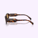 Miu Miu Sunglasses 0MU C01S 27L10Y53 shown from the side on a light background. These brown tortoiseshell sunglasses feature thick frames and elegant gold Miu Miu branding on the left temple arm.
