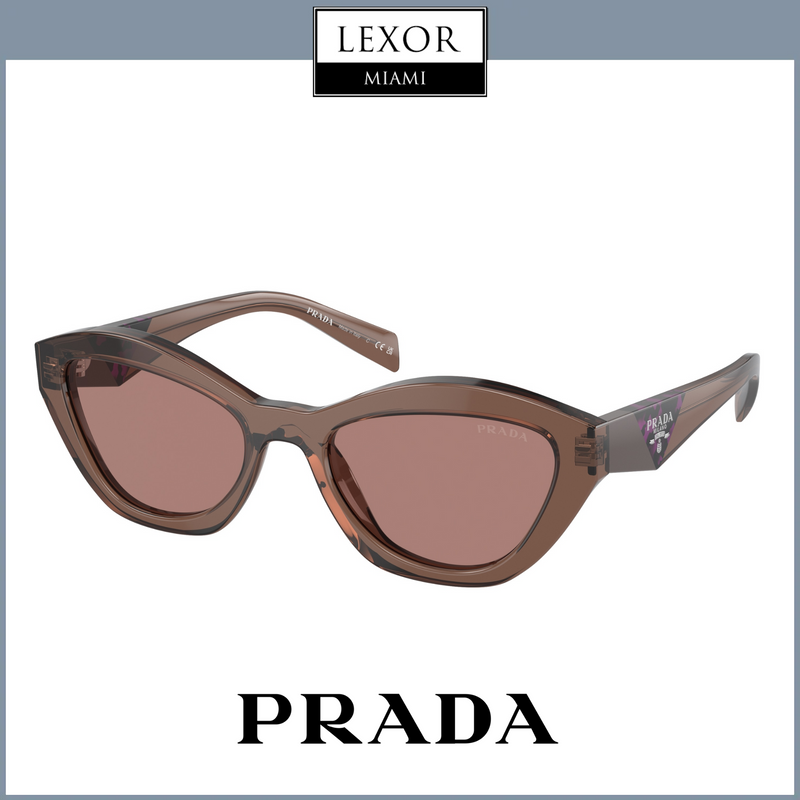 PRADA 0PR A02SF 55 MARROM TRANSPARENTE COM ÓCULOS DE SOL MARROM CLARO UPC 8056597972765