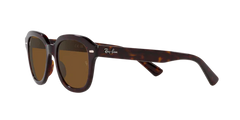 Lexor Miami RB4398 ERIK 902/57 145 3P sunglasses with thick Havana frames and brown lenses, featuring the iconic logo on the arms, displayed against a plain light background.