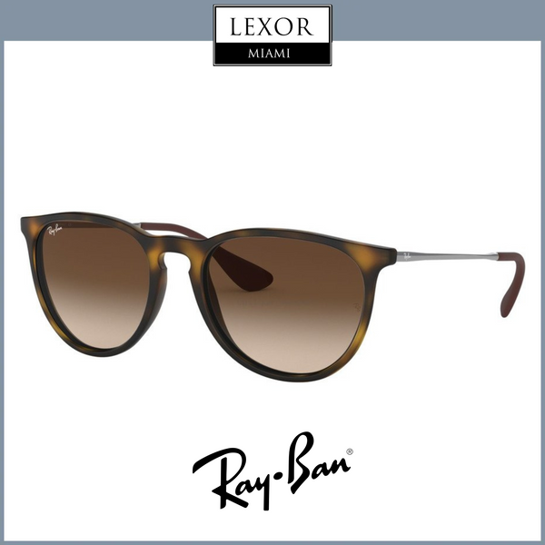 Rayban RB4171 865/13 54 Erika Women Sunglasses