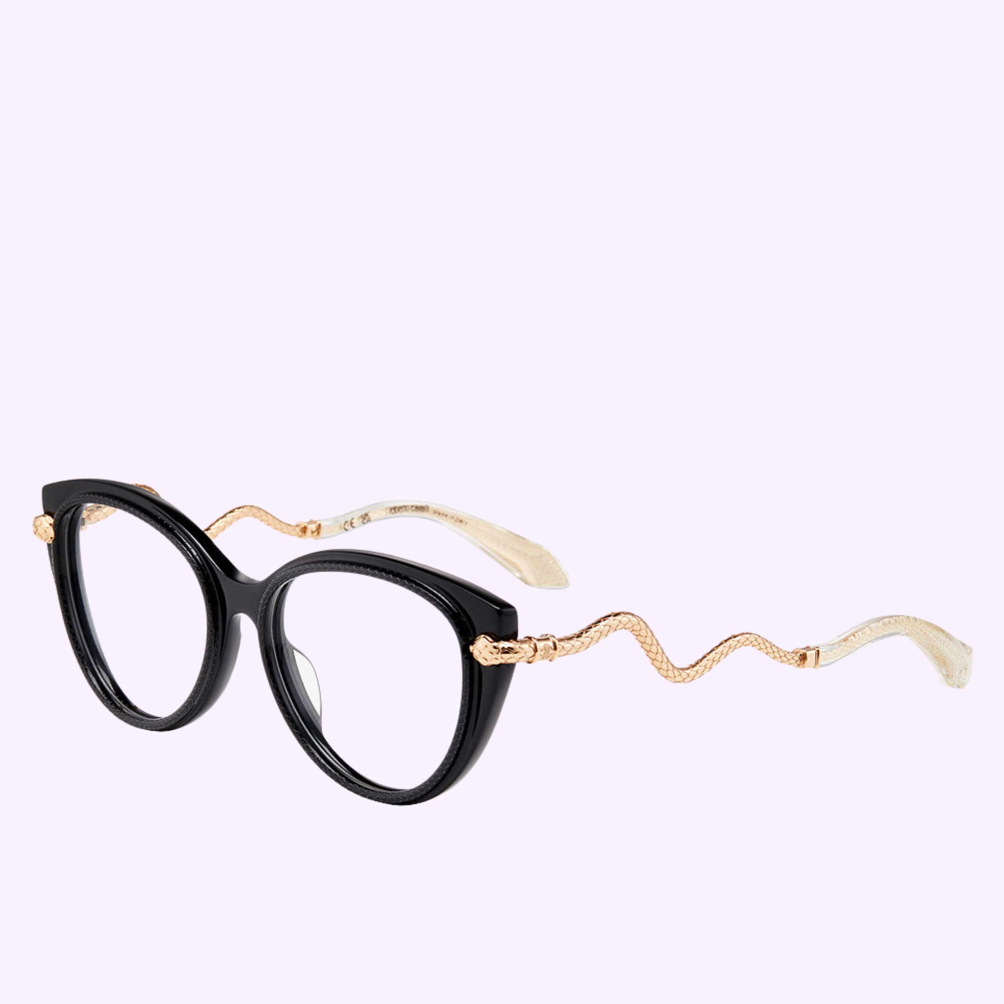 Angle View Roberto Cavalli Optical Frames VRC105 530700