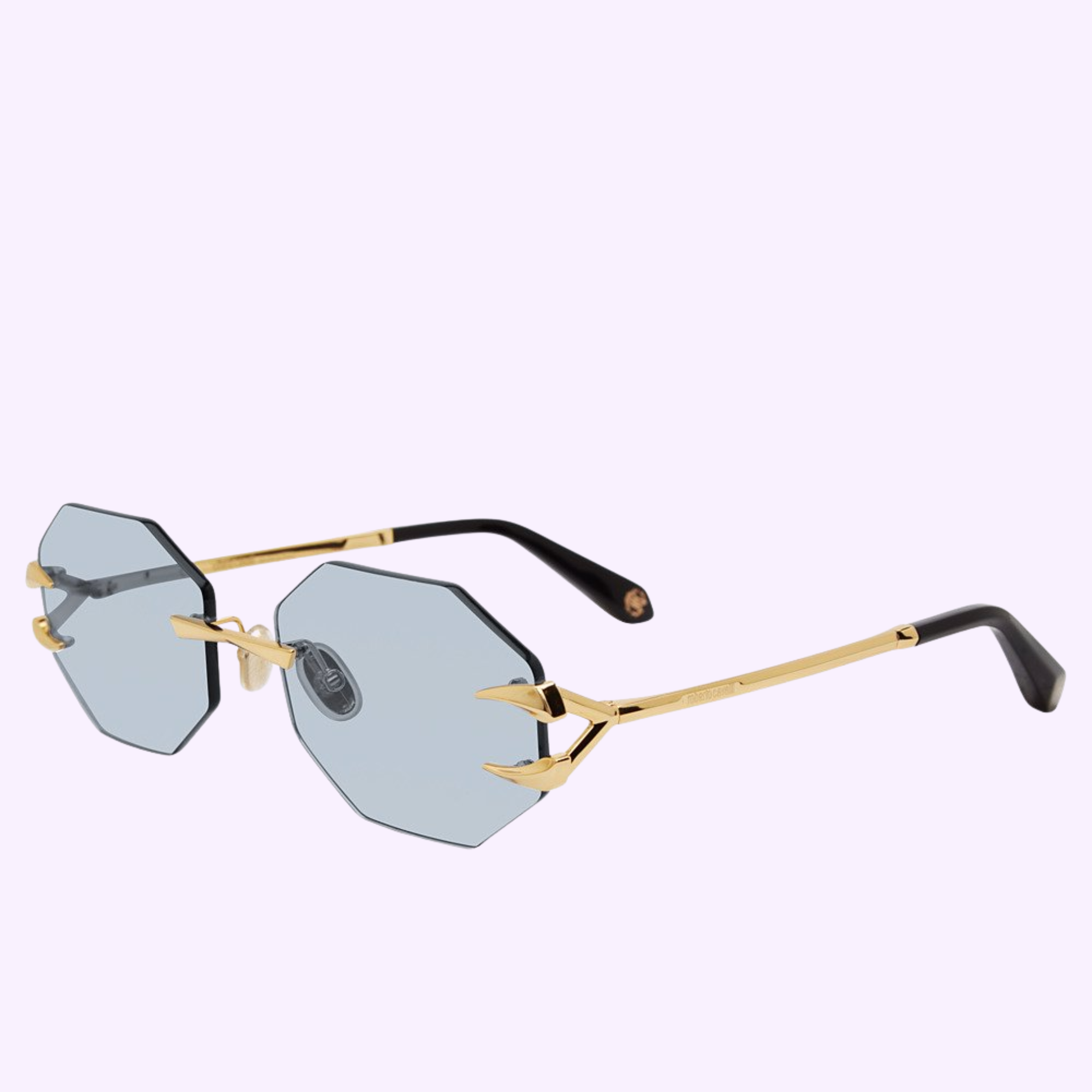 Angle View Roberto Cavalli Sunglasses SRC005 59400F