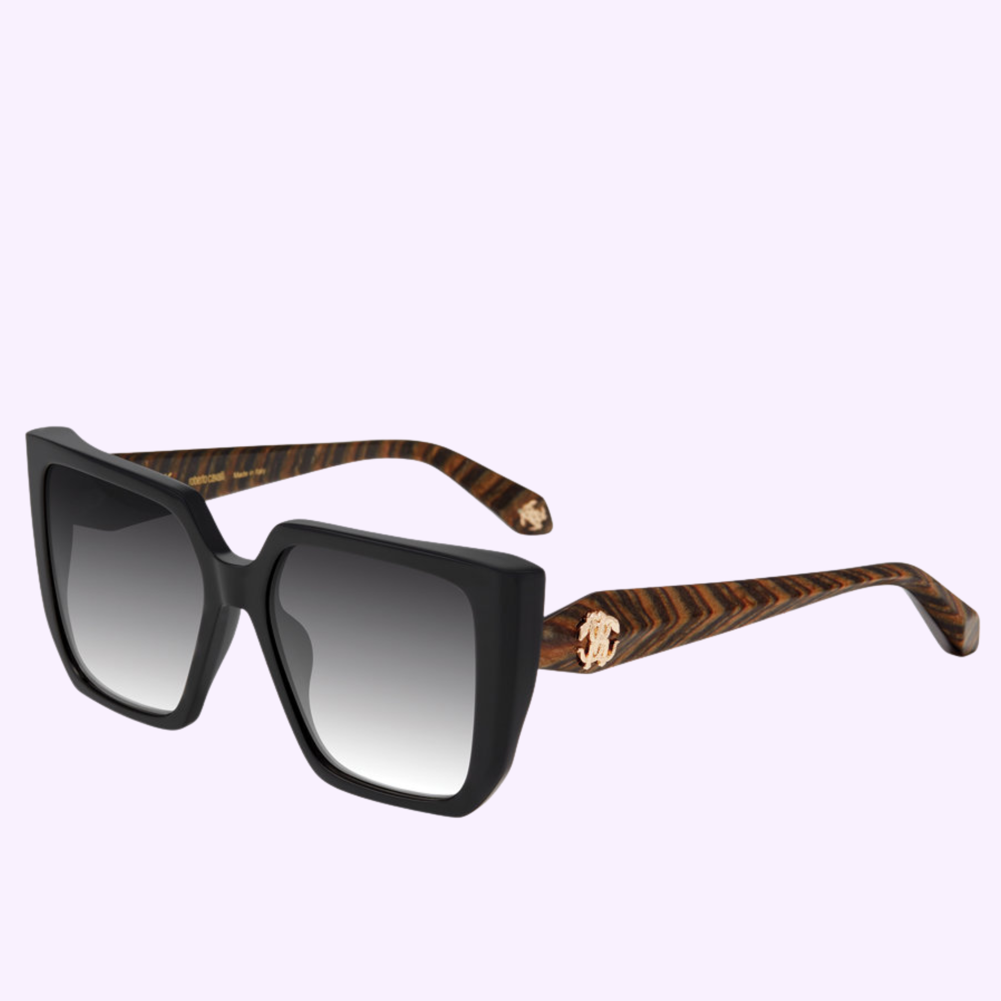 Angle vIew Roberto Cavalli Sunglasses SRC170M560700