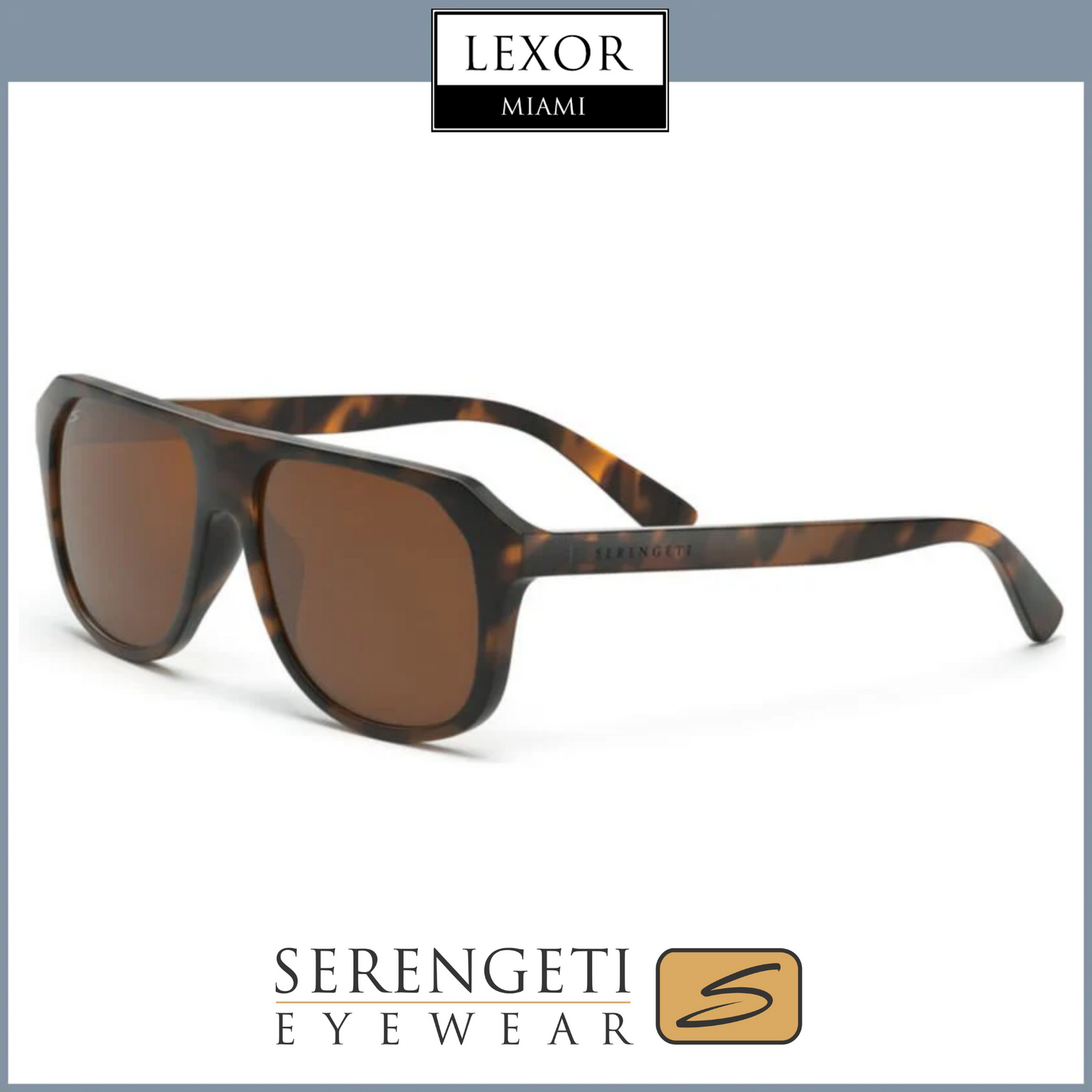 邦楽 Nautilus Serengeti 邦楽 Nautilus Serengeti Serengeti Nico – sunglasssafari