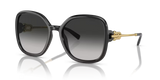 Tiffanny&Co 0TF4202U 80013C Black Sunglasses