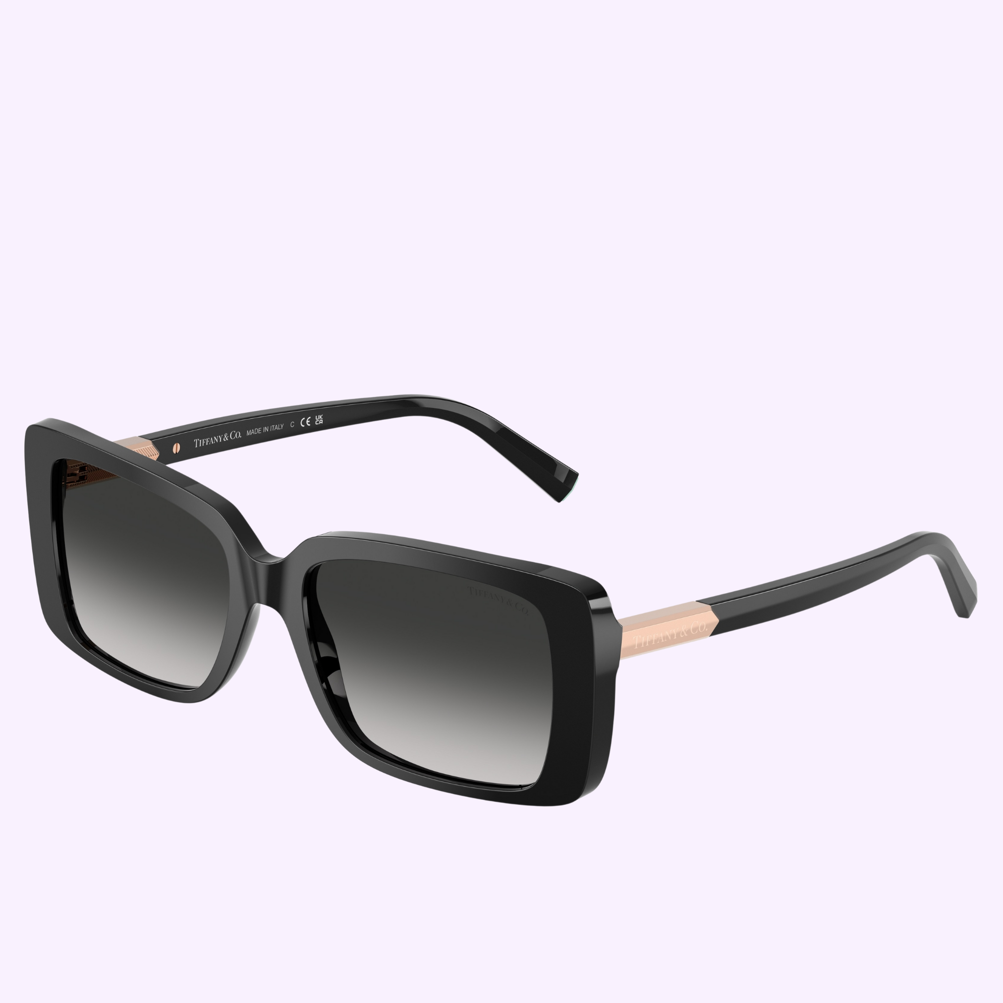 Tiffany & Co. Sunglasses 0TF4249 80013C55