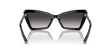 Tiffany & Co. 0TF4203 80013C Women Sunglasses