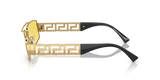 Versace 0VE2257 1002C9 60 Sunglasses