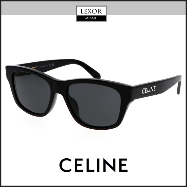 Celine CL40249U-Y ACETATE SUNGLASSES