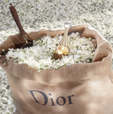 Dior J'adore 3.4 oz EDP Women Perfume - Lexor Miami