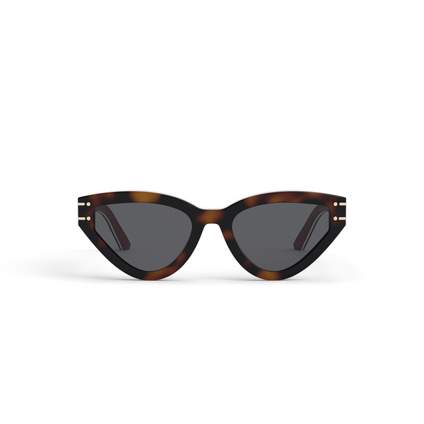 Christian Dior Signature B2U 26A0 53-20-140*3 Woman's Sunglasses