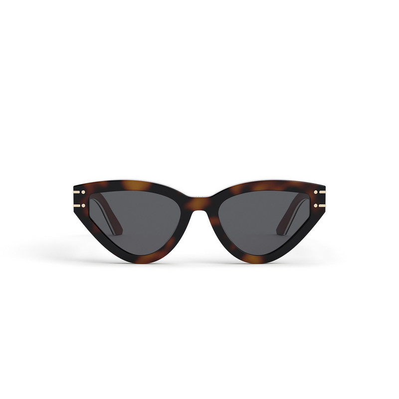 Christian Dior Signature B2U 26A0 53-20-140*3 Woman's Sunglasses