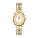 Tory Burch TBW7214 The Ravello 2 Tone Stainless Steel Strap Women Watches - Lexor Miami