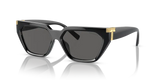 Tiffany & Co. 0TF4205U 8001S4 Women Sunglasses